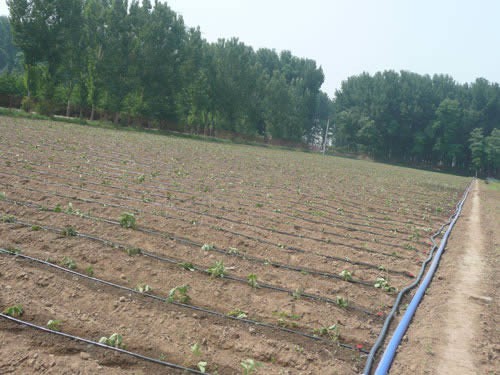 湖北內鑲式滴灌管